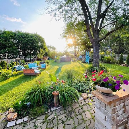 Schaumburg Paradise Oasis With A Secret Garden And Private Pool Extérieur photo