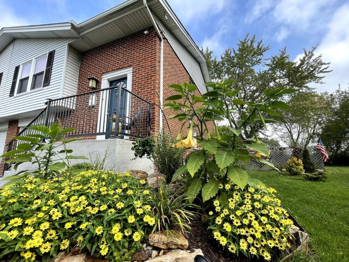 Schaumburg Paradise Oasis With A Secret Garden And Private Pool Extérieur photo