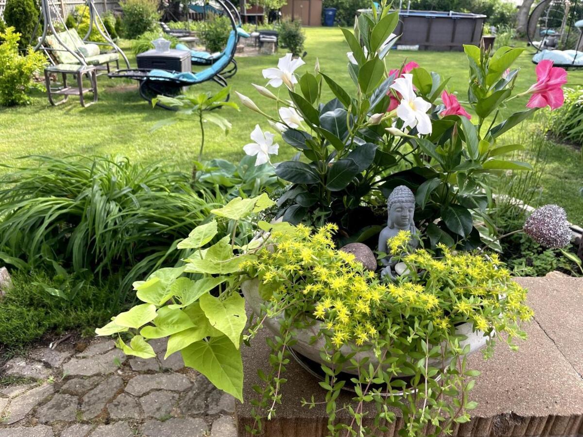 Schaumburg Paradise Oasis With A Secret Garden And Private Pool Extérieur photo
