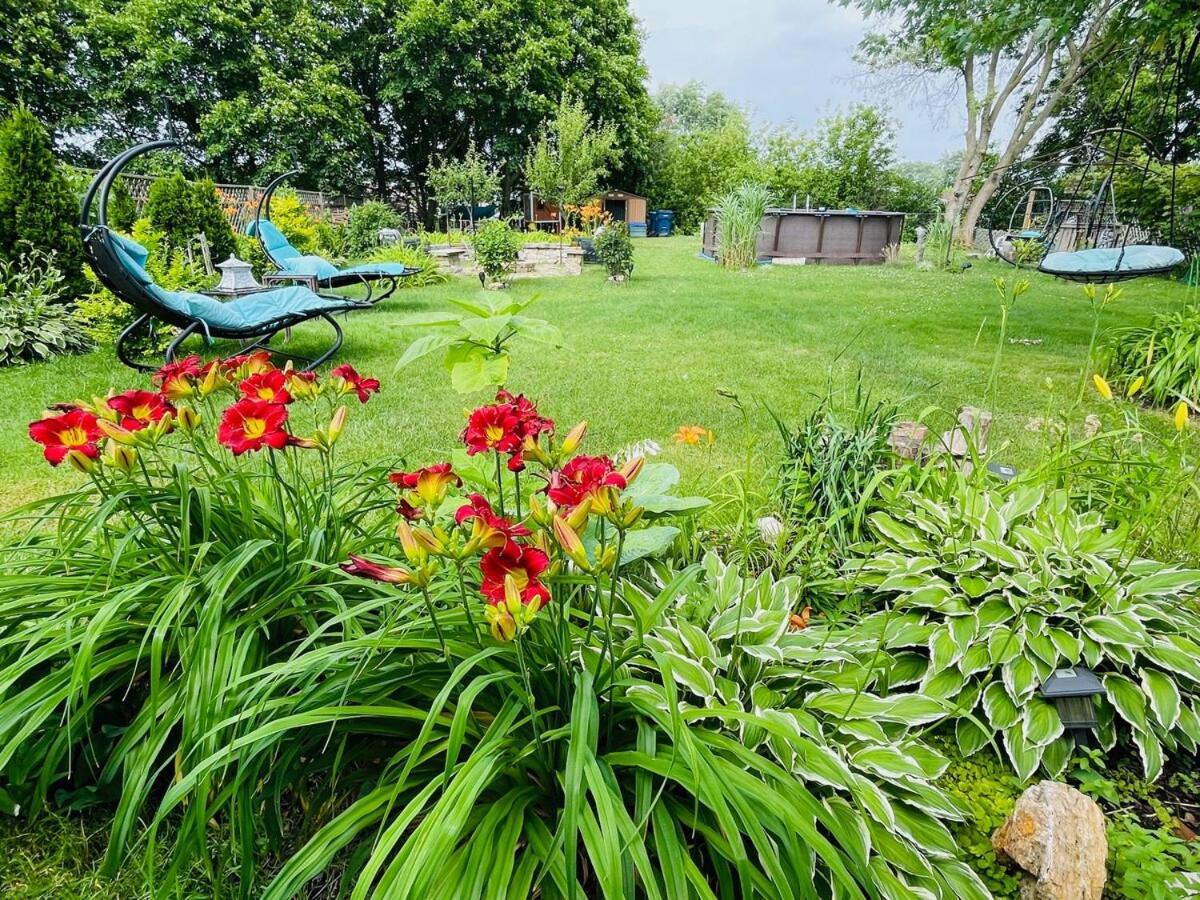 Schaumburg Paradise Oasis With A Secret Garden And Private Pool Extérieur photo
